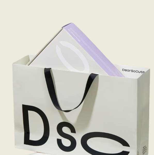 Paper Carry Bag (Medium)